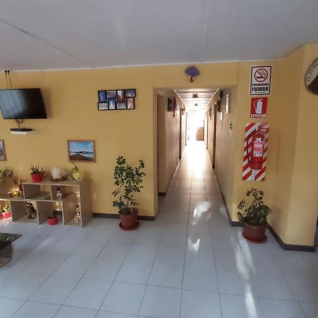Hostal Km Zero - El Senor Del Lascar San Pedro De Atacama Zewnętrze zdjęcie